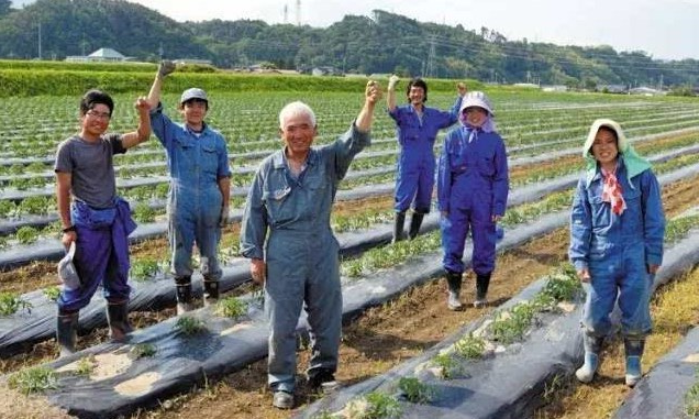 日本劳务派遣农业类、食品加工、建筑业、电子业招聘